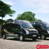 nhà xe hoa mai limousine