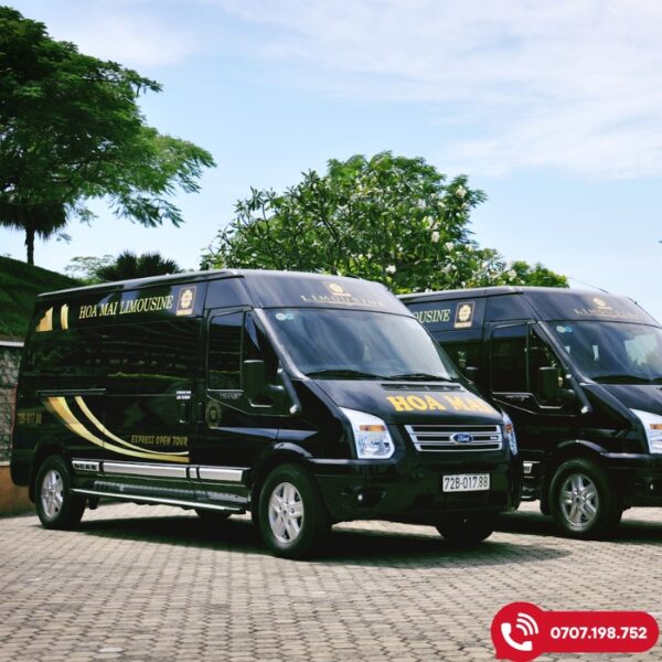 nhà xe hoa mai limousine